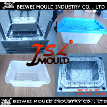 Plastic Injection Storage Box Mould